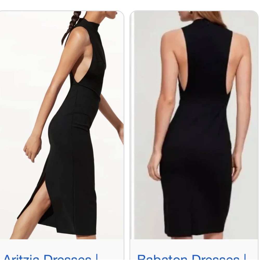 Aritzia Babaton Matheson Dress